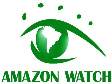 Bitpay refuse un don de 100 000 $ en Bitcoin (BTC) pour aider l'Amazonie