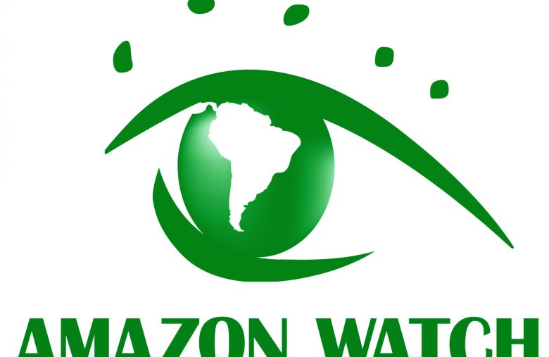 Bitpay refuse un don de 100 000 $ en Bitcoin (BTC) pour aider l'Amazonie