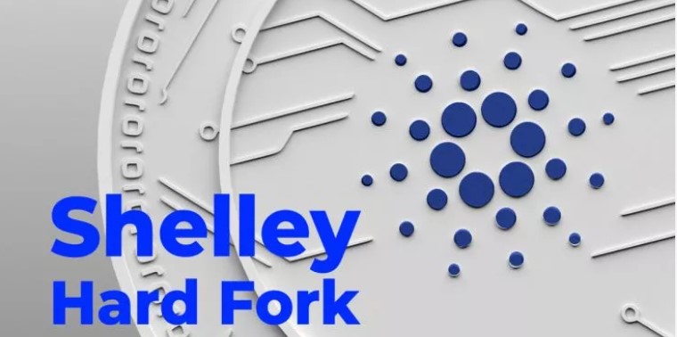 La blockchain Cardano annonce que la hard fork Shelley est un succès