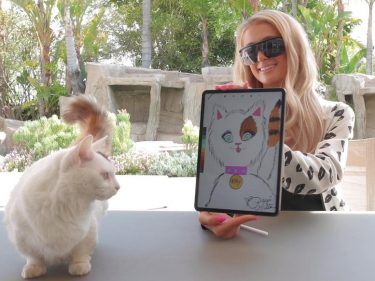 Paris Hilton vend aux enchères le portrait de son chat sous forme de jeton NFT sur la blockchain Ethereum