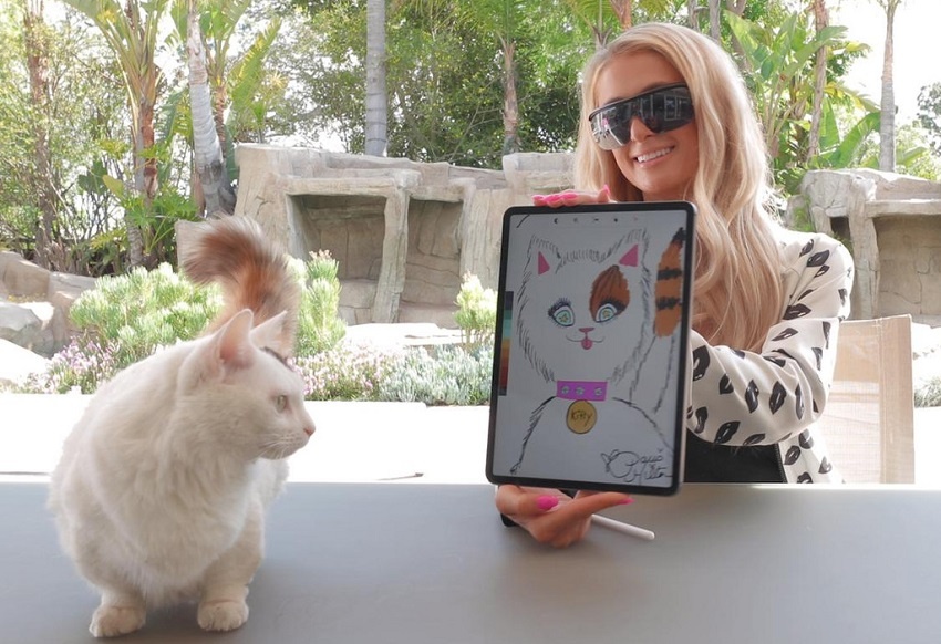 Paris Hilton vend aux enchères le portrait de son chat sous forme de jeton NFT sur la blockchain Ethereum