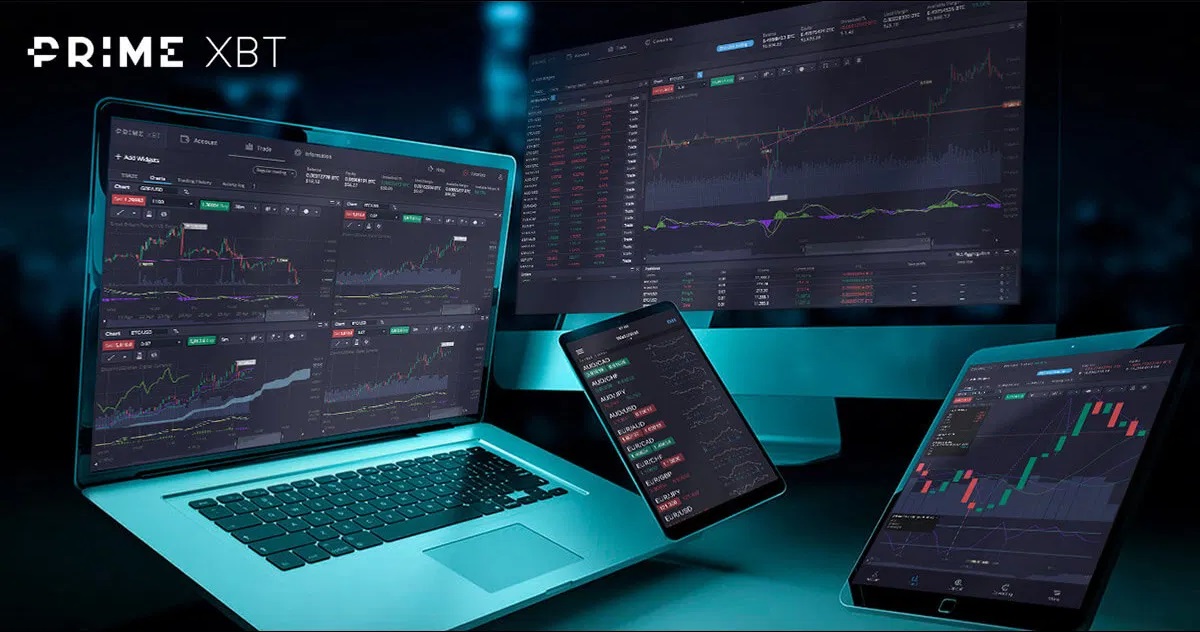 Copy trading la plateforme Covesting de PrimeXBT permet de suivre les traders crypto et forex les plus performants