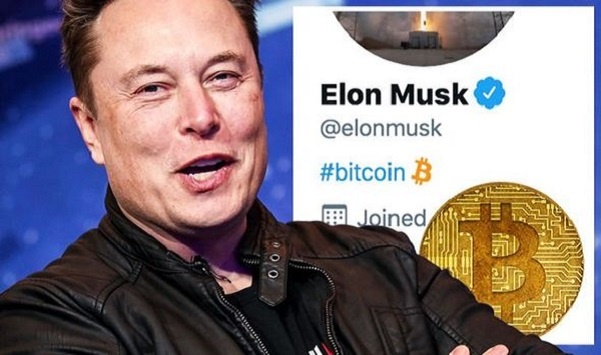 Un bot trading qui achète du BTC dès qu'Elon Musk parle de Bitcoin sur Twitter