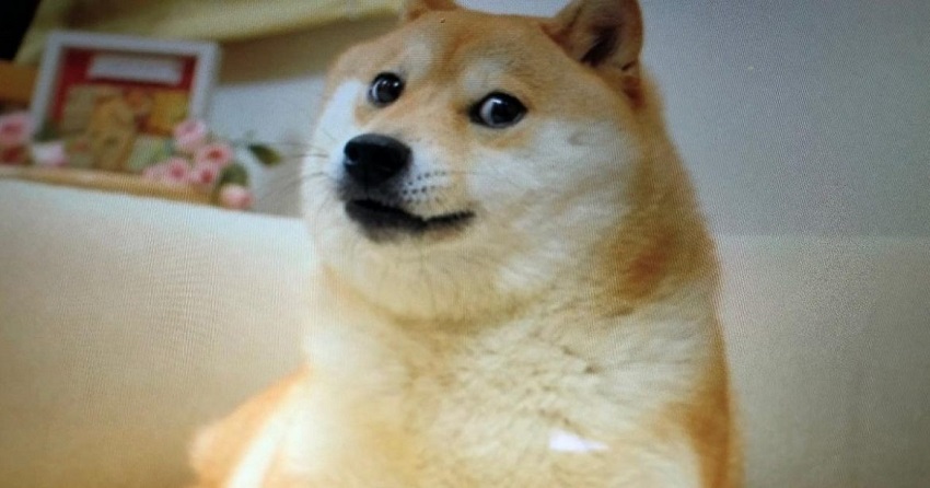 Doge 'mème' emblématique du Dogecoin, va être vendu aux enchères sous forme de jeton non fongible NFT