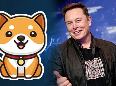 Après Dogecoin et Shiba Inu, Elon Musk fait monter le prix du Baby Doge Coin