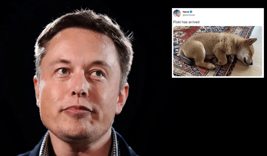 En présentant son nouveau chien Floki, Elon Musk a fait exploser le cours de la cryptomonnaie Shiba Floki