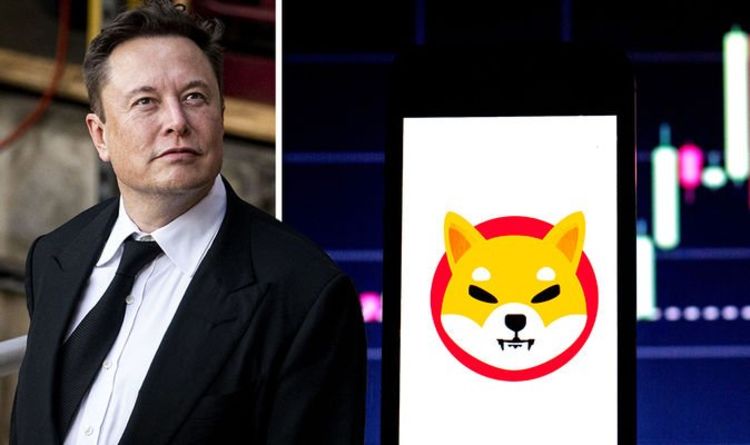 Cours Shiba Inu (SHIB) en hausse, Elon Musk tweet qu'il ne possède que du Bitcoin (BTC), de l'Ethereum et du Dogecoin (DOGE)