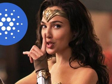 L'échange décentralisé (DEX) AdaSwap lève 2,6 millions de dollars auprès d'investisseurs dont Gal Gadot, l'actrice qui incarne Wonder Woman