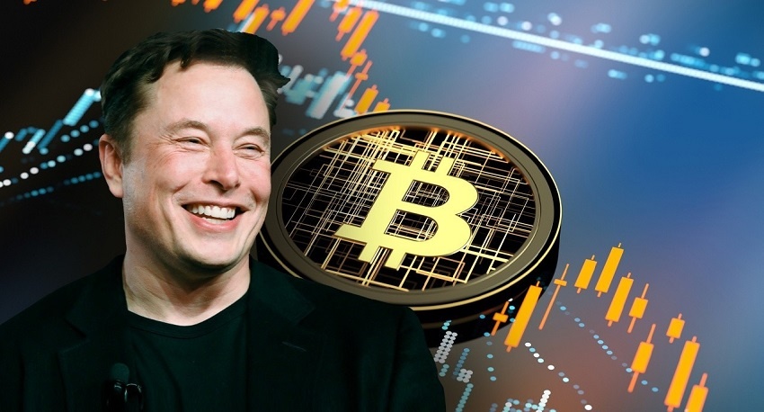 Malgré une inflation galopante et un marché crypto morose, Elon Musk ne vendra pas ses bitcoins, Ethereum ni bien sûr ses Dogecoin (DOGE)