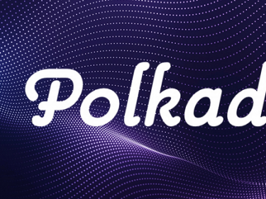 Polkadex (PDEX) remporte la 16e enchère Parachain Polkadot