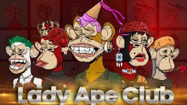 Succès pour le lancement des NFT Lady Ape Club (LAC)