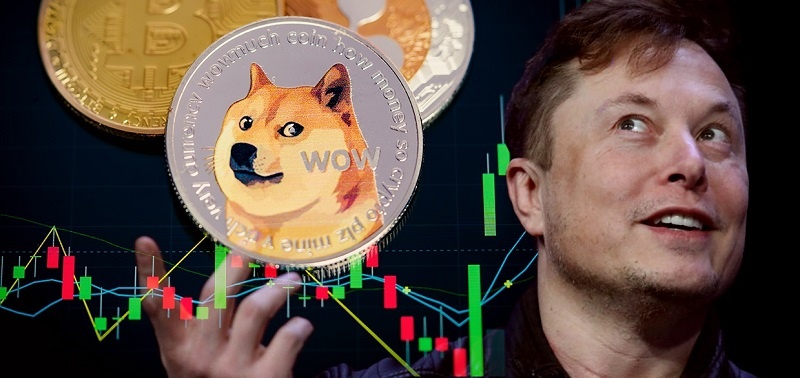 Le cours Dogecoin (DOGE) a doublé depuis le rachat de Twitter par Elon Musk