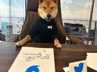 Après le cours Dogecoin (DOGE), c'est au tour du cours FLOKI de faire un bond grâce à un tweet d'Elon Musk