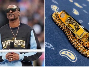 Pour stocker en sécurité ses cryptos et NFT, le rappeur Snoop Dogg utilise un Ledger Nano X personnalisé avec de l'or