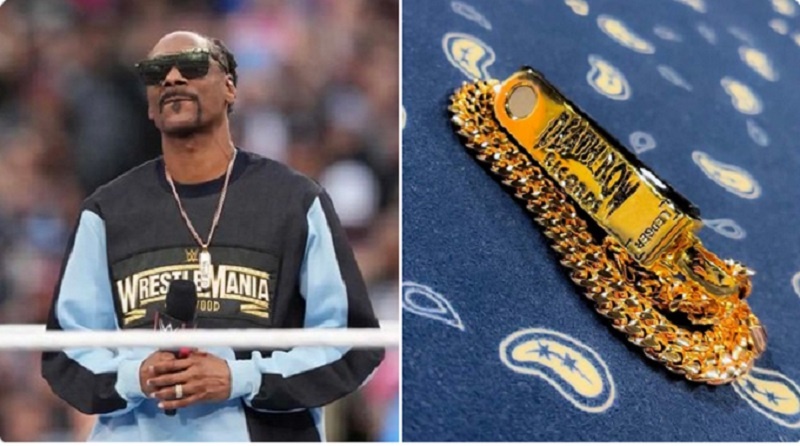Pour stocker en sécurité ses cryptos et NFT, le rappeur Snoop Dogg utilise un Ledger Nano X personnalisé avec de l
