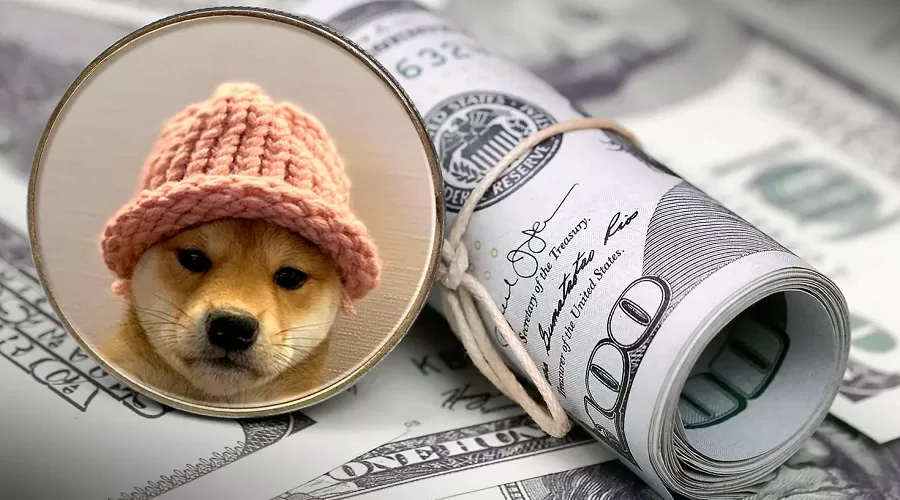 La photo emblématique de la mascotte du mème coin DogWifHat (WIF) a été vendue sous forme de NFT pour plus de 4 millions de dollars