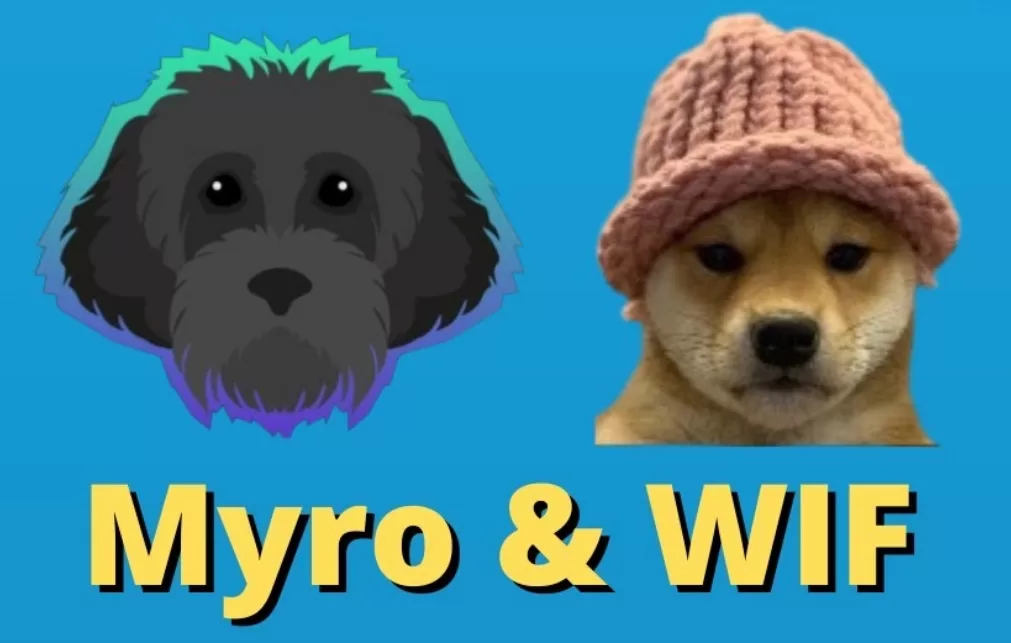 Les cours DogWifHat (WIF) et MYRO montent encore plus haut