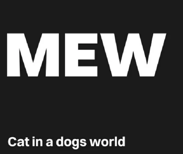 Auparavant réfractaire à l'idée de lister de nombreux mème coins, l'échange crypto OKX lance le trading de DogWifHat (WIF) et Cat in a Dogs World (MEW)