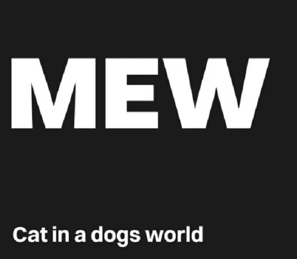 Auparavant réfractaire à l’idée de lister de nombreux « mème coins », l’échange crypto OKX lance le trading de DogWifHat (WIF) et Cat in a Dogs World (MEW)