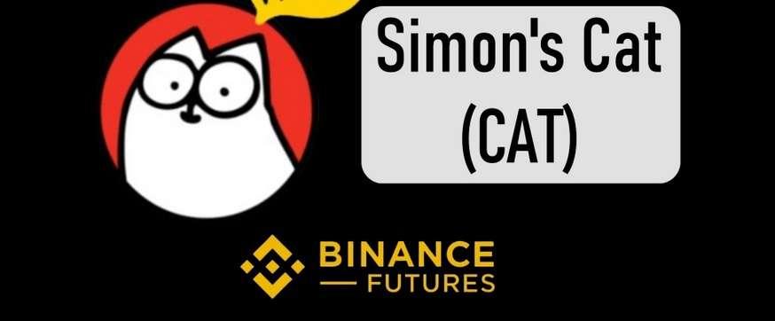 Le cours CAT du memecoin Simon