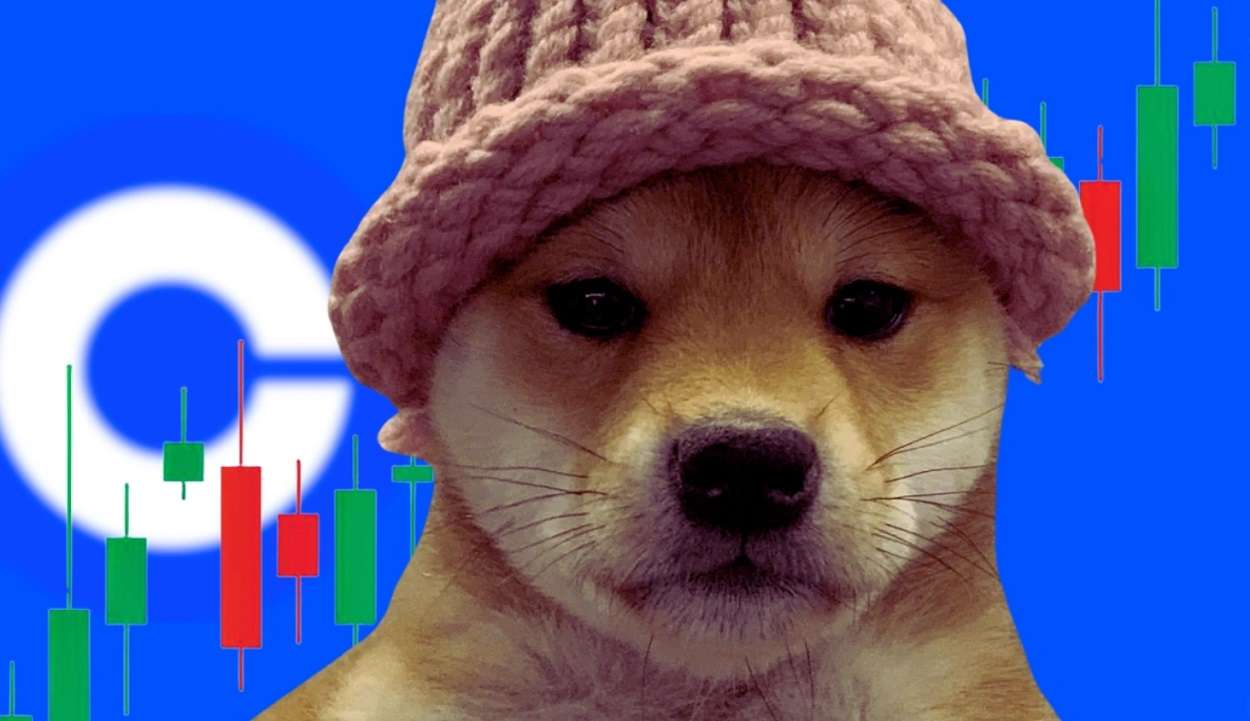 Coinbase va lister le memecoin DogWifHat, le cours WIF explose à la hausse