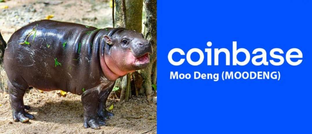 Après DogWifHat (WIF) et Floki Inu, Coinbase envisage de lister le memecoin Moo Deng (MOODENG)