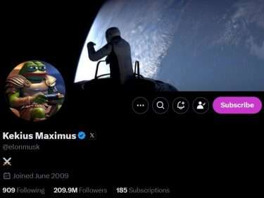 Elon Musk fait monter le cours PEPE après avoir mis une grenouille en photo de profil sur le réseau social X