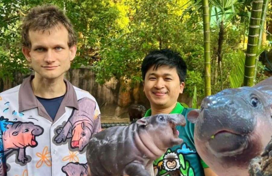 Vitalik Buterin, cofondateur d'Ethereum (ETH), a fait un don de 10 millions de bahts thaïlandais pour soutenir le bébé hippopotame Moo Deng (MOODENG)